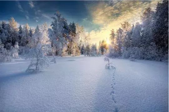 一场雪   作者/东方欲晓