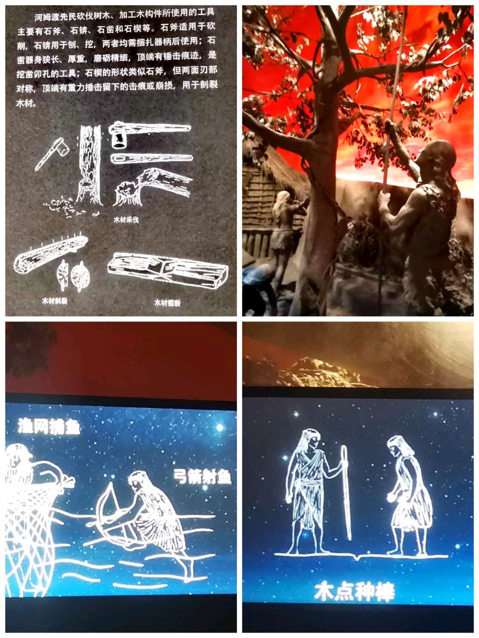 慈溪冬日游（之一）