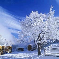 千树万树梨花开——咏雪诗趣谈/罗兆熊