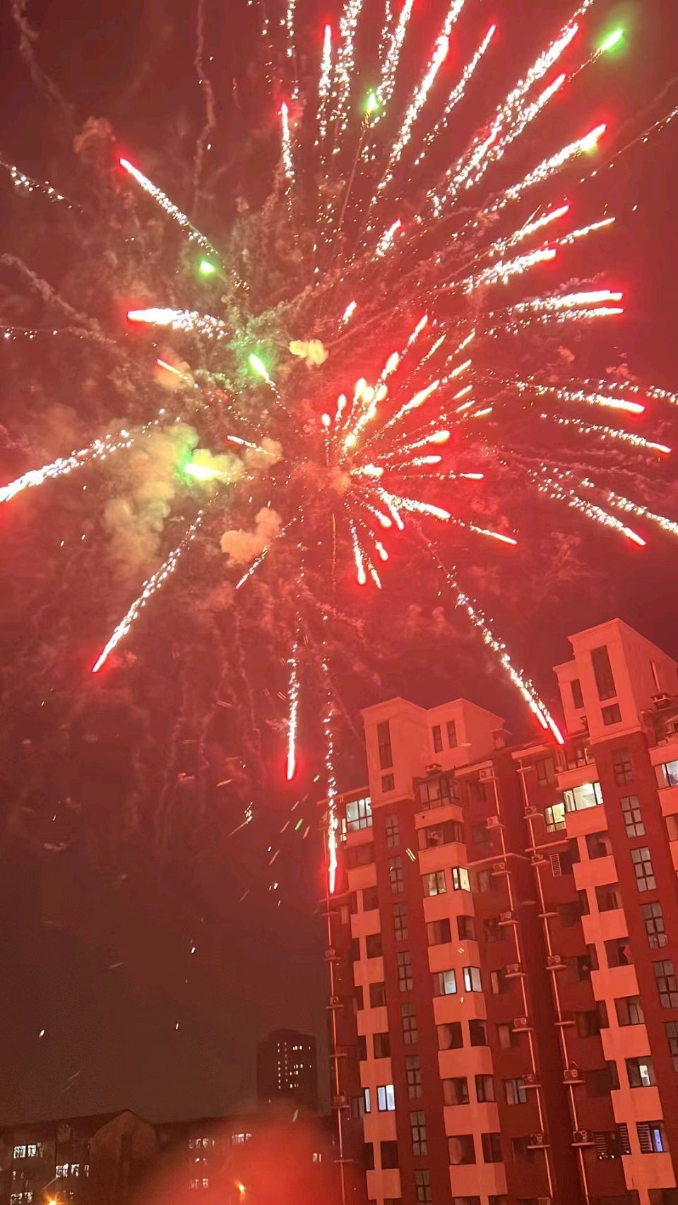【荣耀中国】七律   新年歌赋文/南山翁