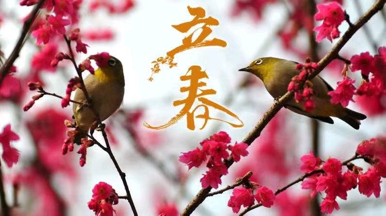 【豆蔻诗社】《贺立春》作者/丰茂春