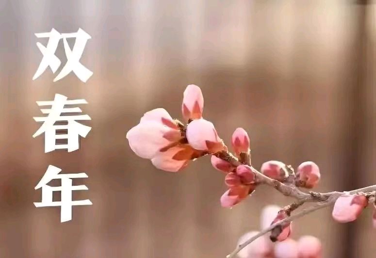 【荣耀中国】立     春新韵作者/森林（沈阳）