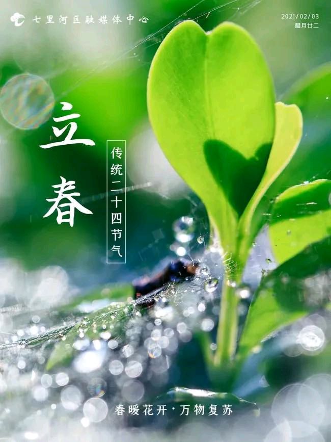 【荣耀中国】七律•立春（下平六麻）文/白宝泉