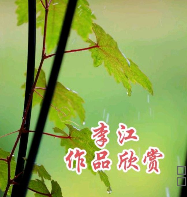 《元宵节》文/李江   主播/慈爱姥姥