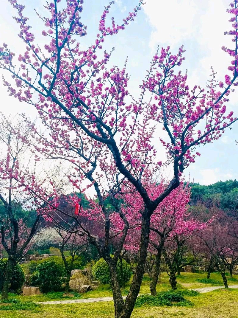 [北京头条]北京金润诗友之家精选微刊《嵌句二月春风似剪刀》