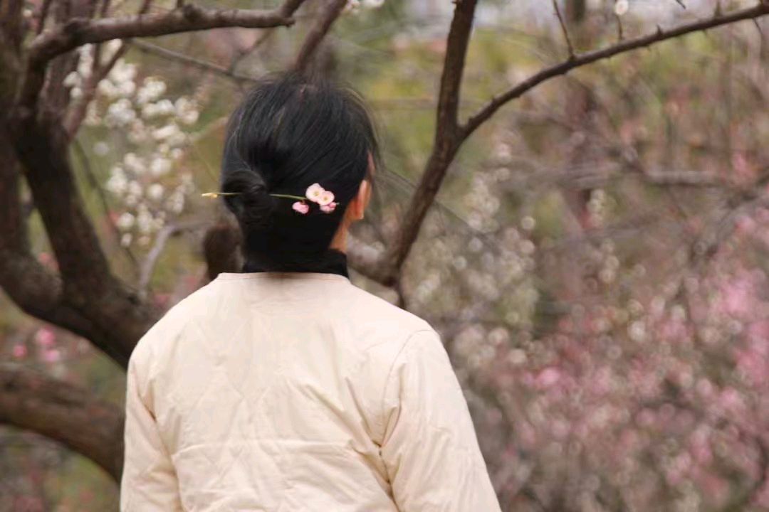 梅林背影        作者：何吴生        冰霜过后，日子就更加的香艳
