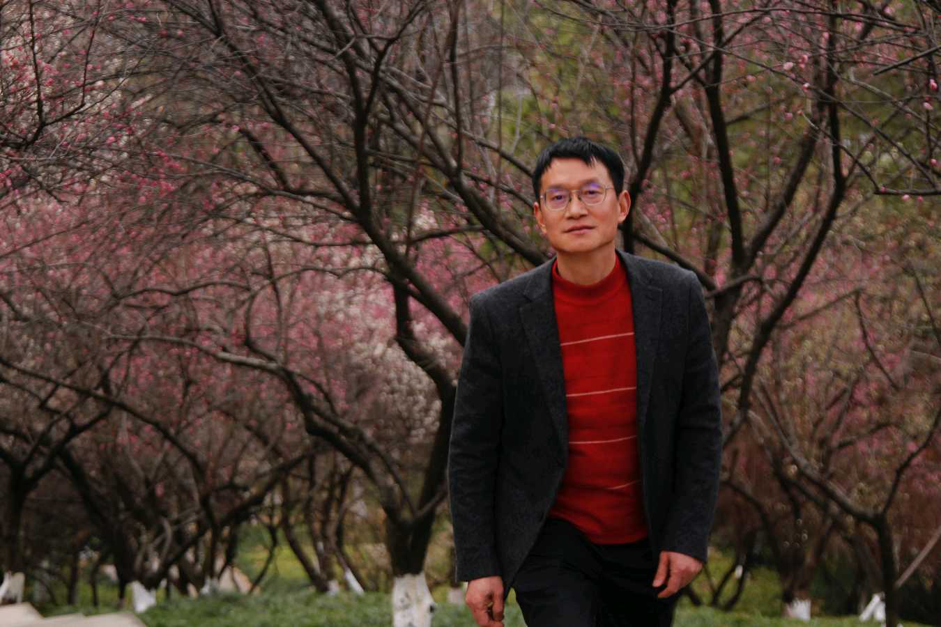 梅林背影        作者：何吴生        冰霜过后，日子就更加的香艳