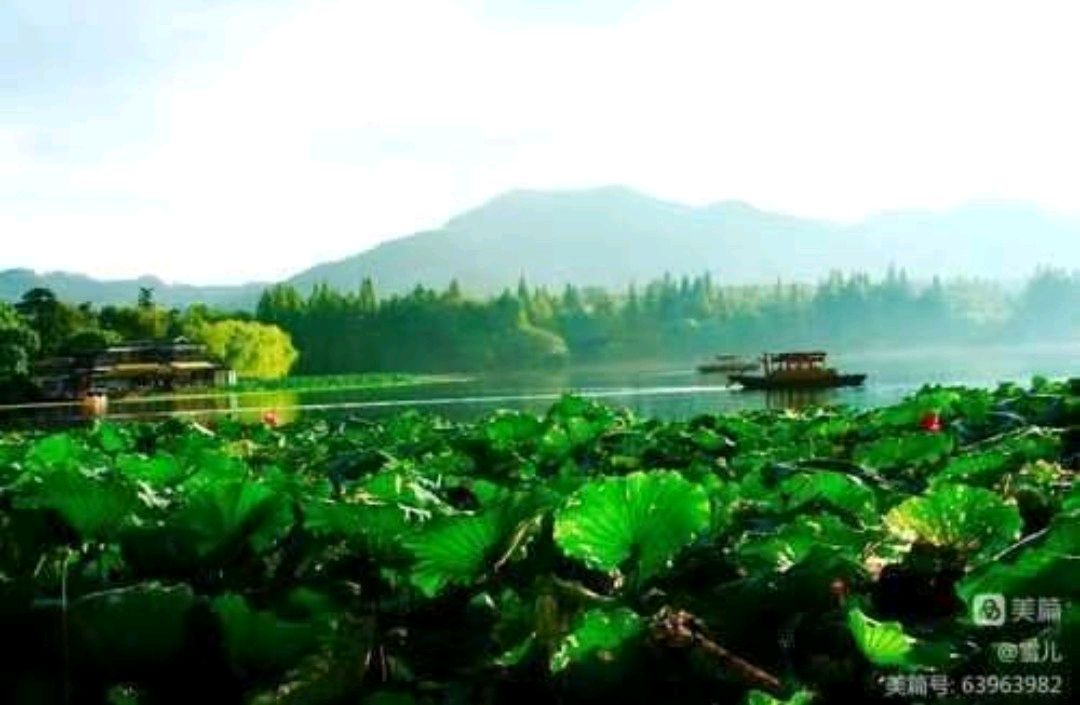 中华红旗国际诗社~北京头条~律韵乡村·作者/润东·朗诵/兰香