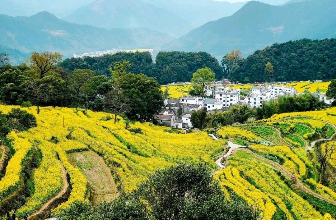 李秦 诗词五首