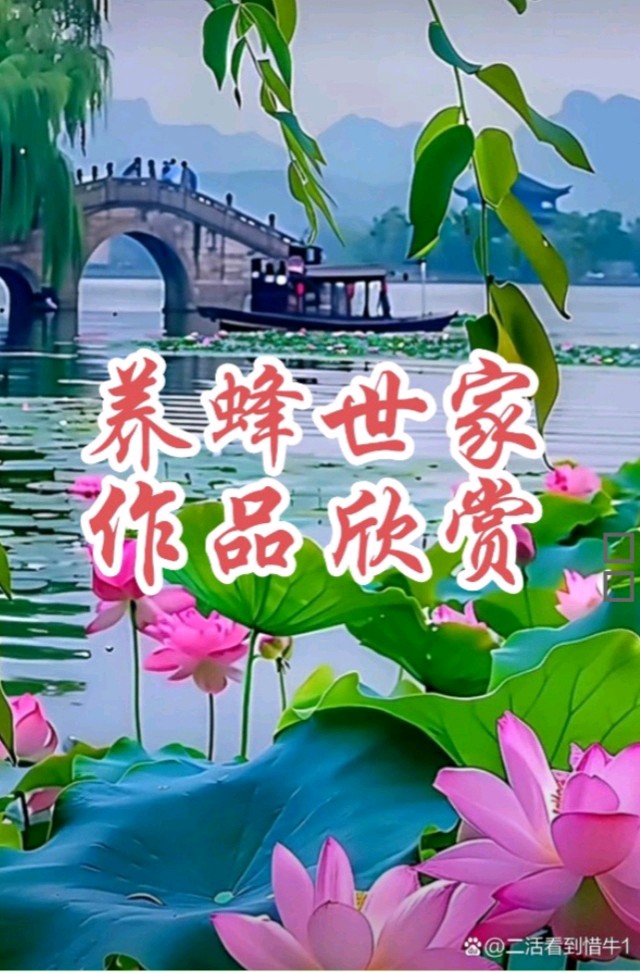 【七律·喜度良宵】文/李海芳/主播/奇乐