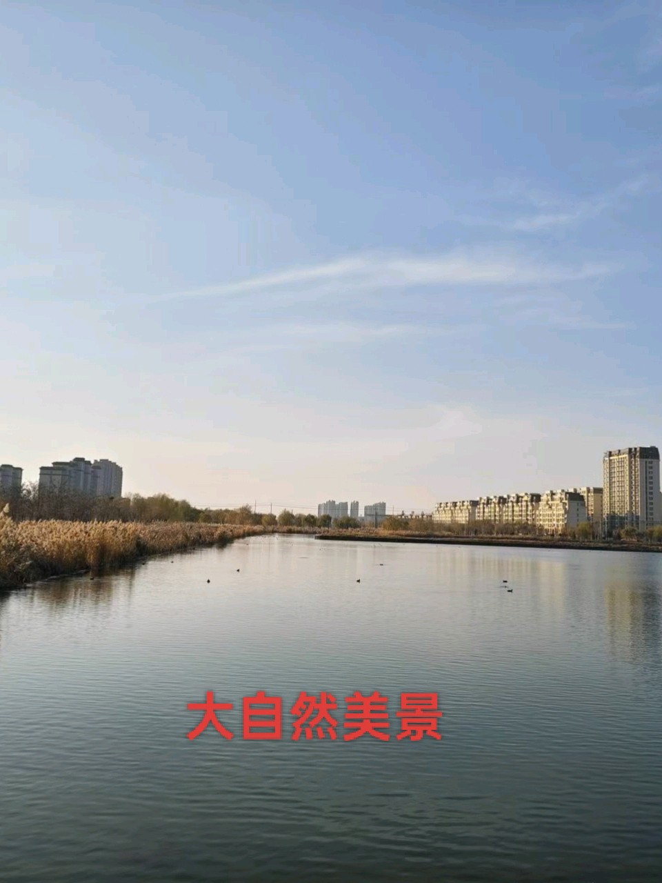 《赞纪有旺》作者/刘俊昌/夏津头条
