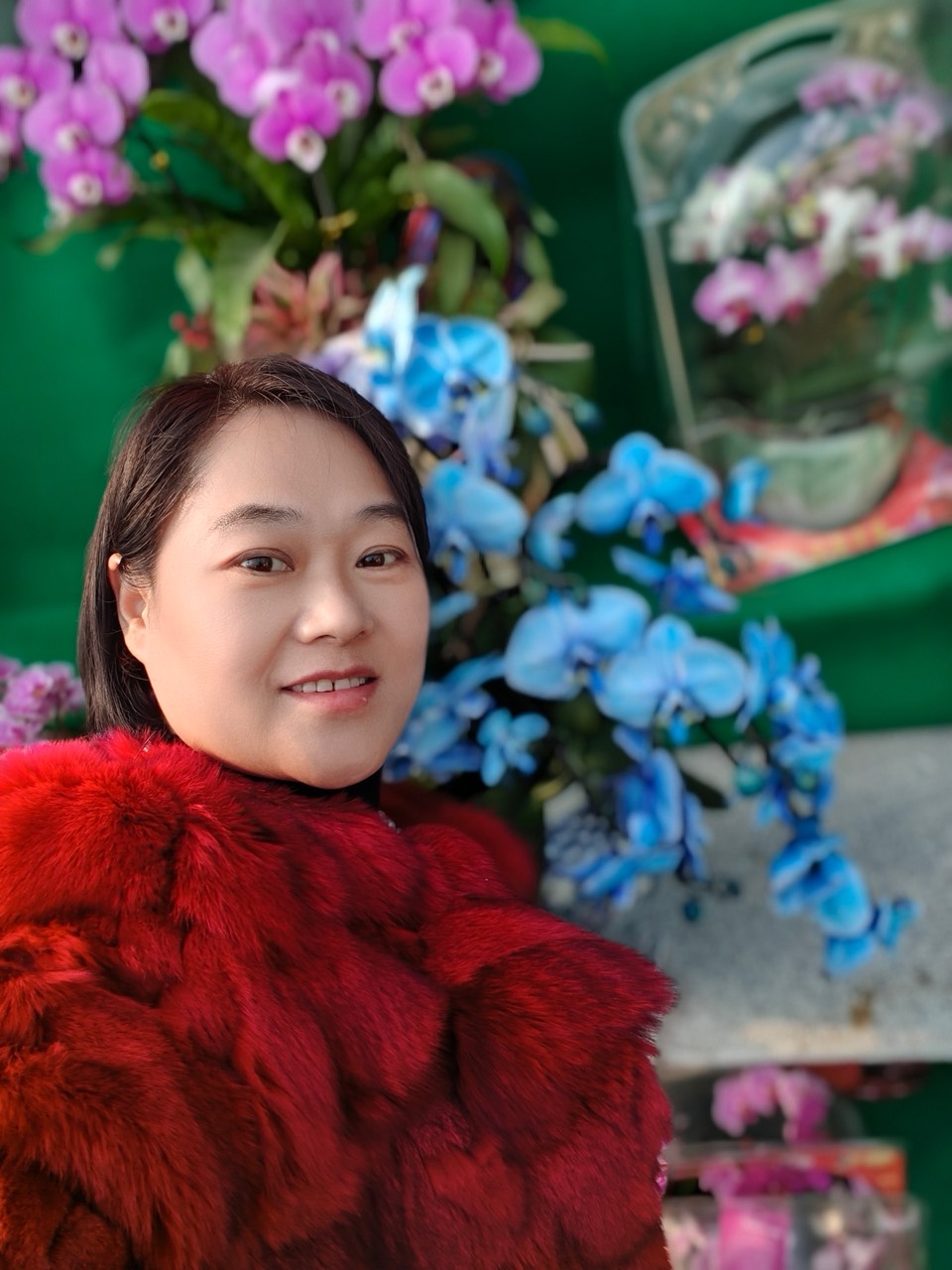 打油诗四首//自乐_木子玲/山东_京津沪头条