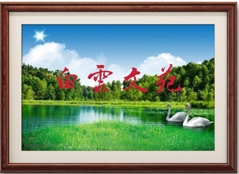 白龙马／作者：罗时春