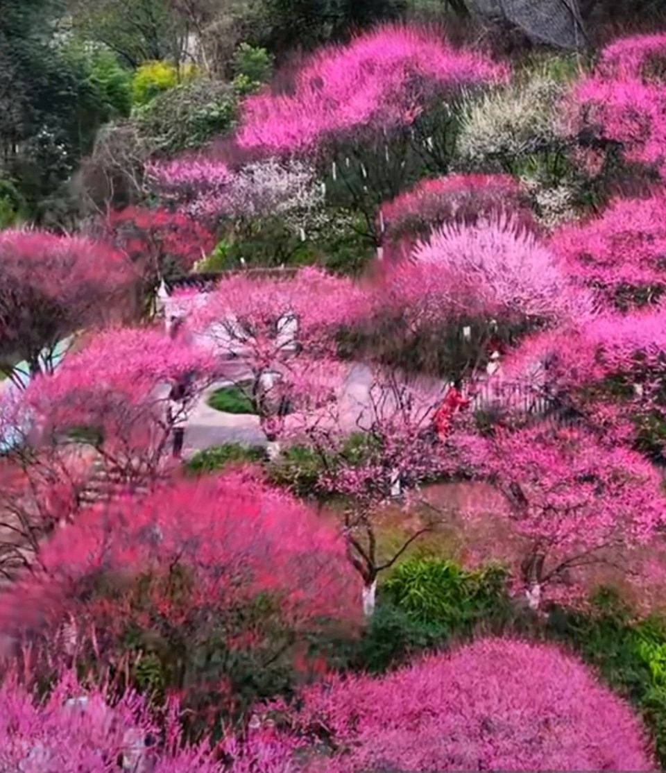 【都市头条向幸福出发编辑部】第438期《元宵节》《春美》作者吕文东