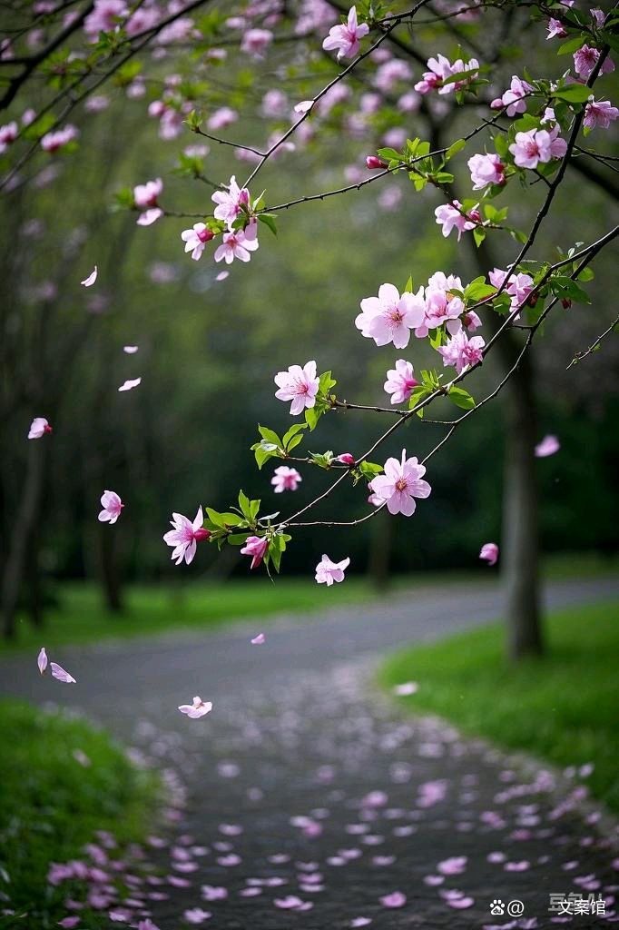 自由体《春芽》文/郑金波