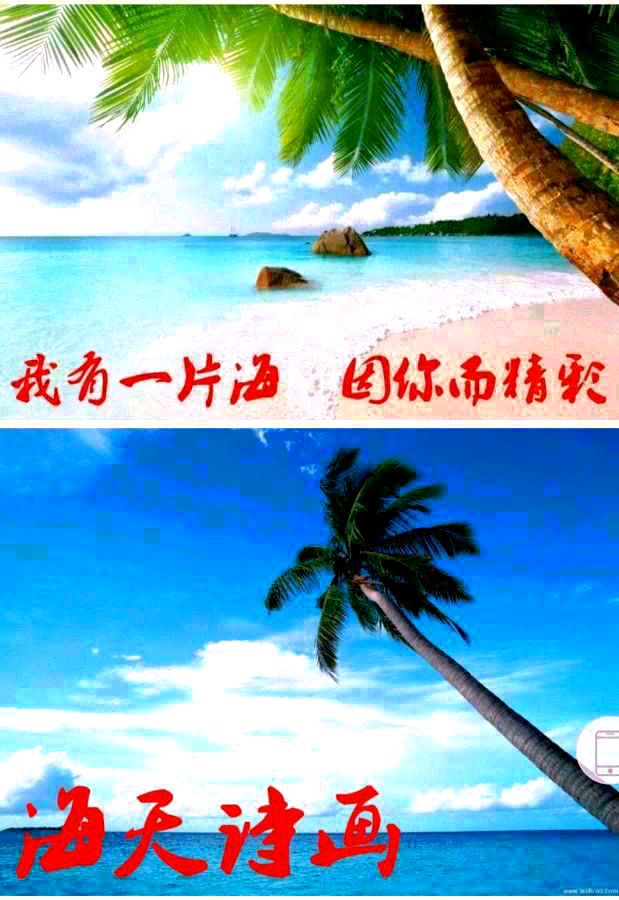 《海天诗画》名家精品诗三首作者‖小辉（广州）