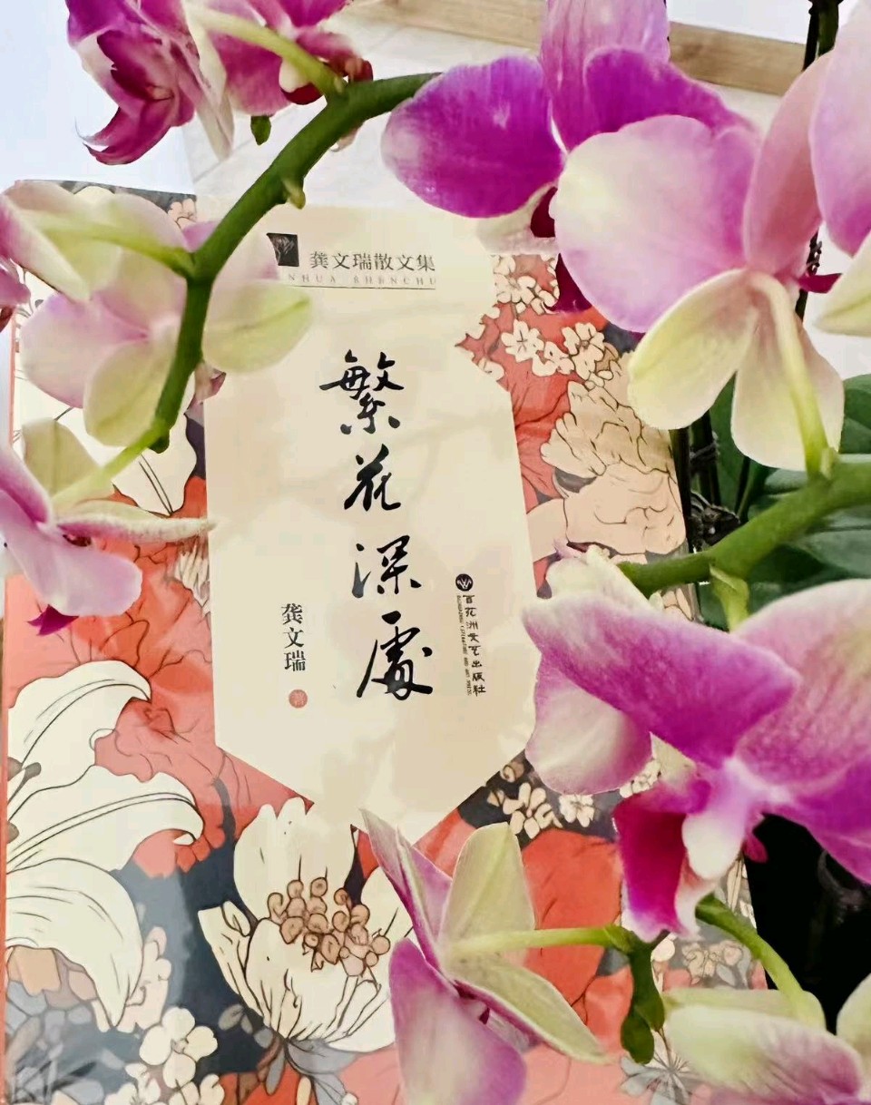 何少华：由《繁花深处》所想到的