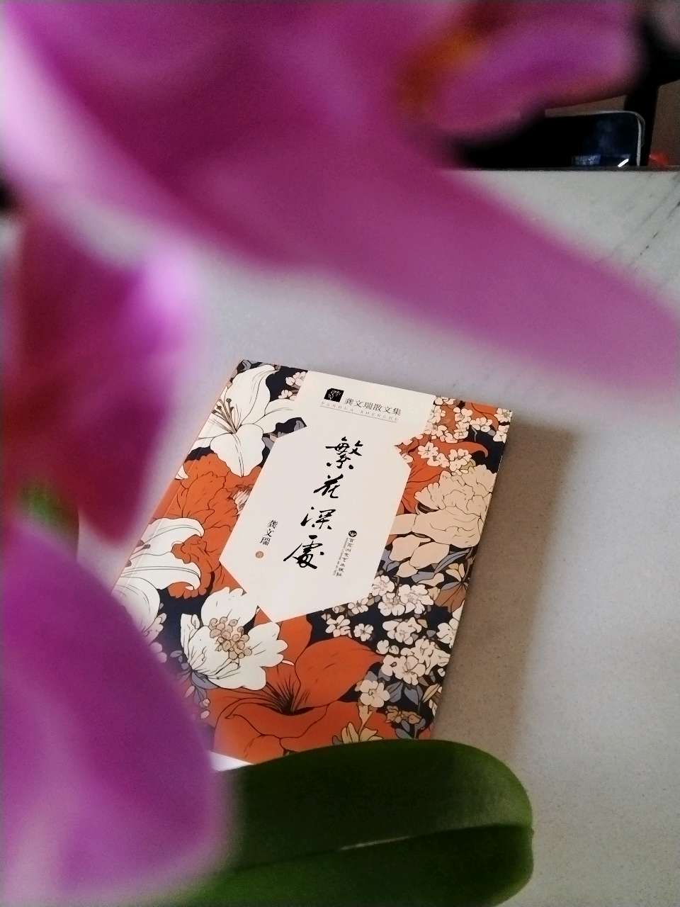 何少华：由《繁花深处》所想到的