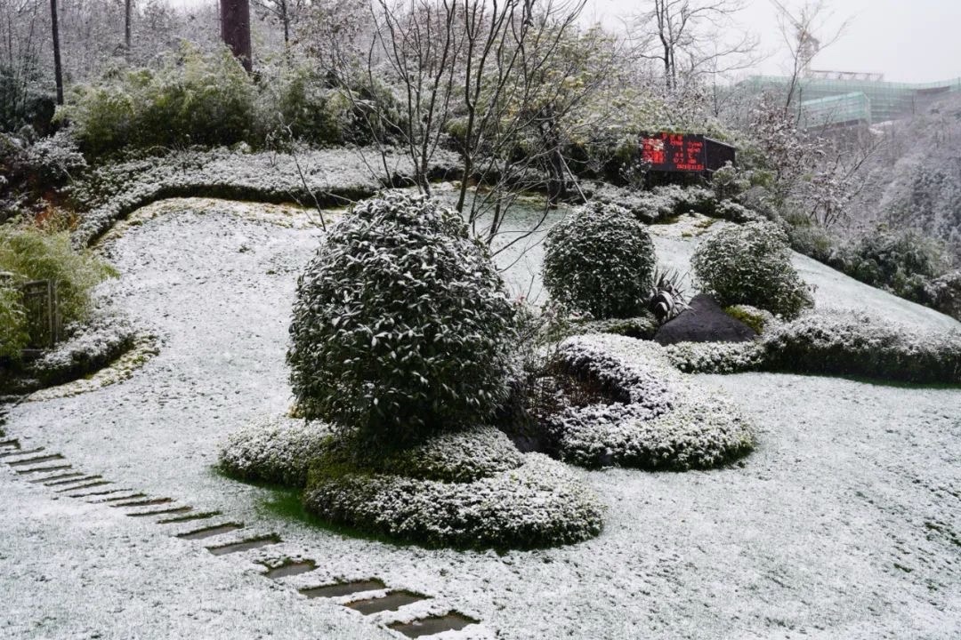 罗汉冬韵-雪舞银沙