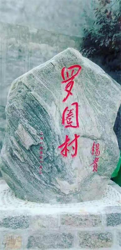 河南卫辉:银杏叶黄，游客疯狂