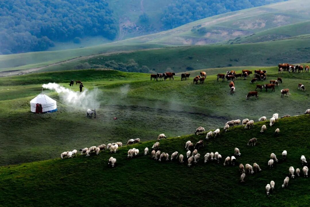 从“总要来一次草原”开始,走进乌兰察布的夏天-新闻中心-内蒙古新闻网