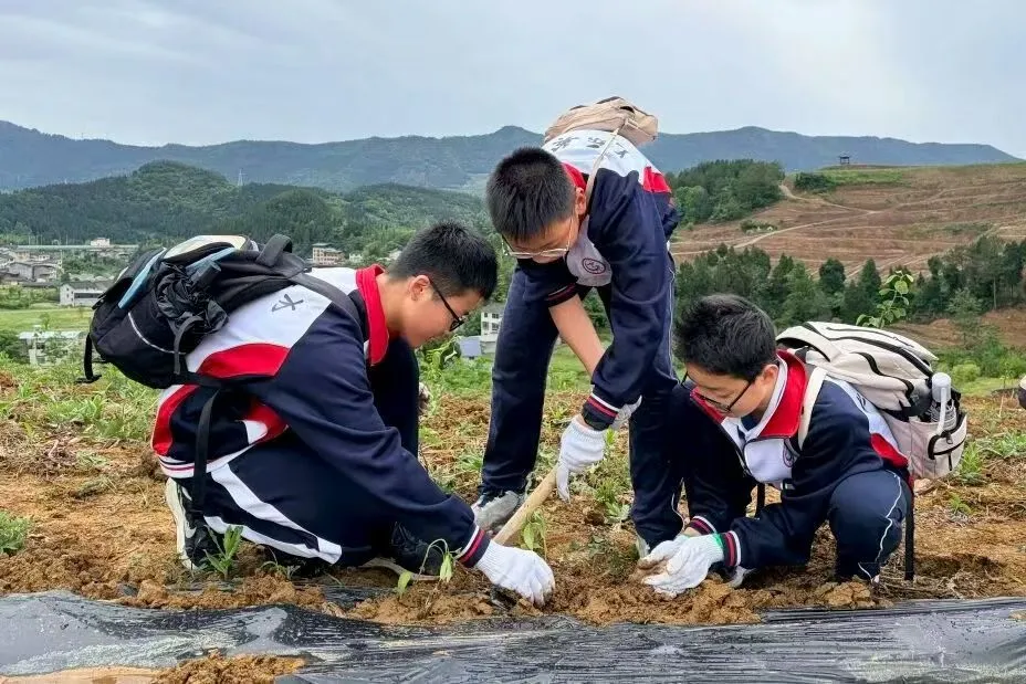 微信图片_20260430082119_3959_171.jpg 微信图片_20260430082119_3959_171.jpg