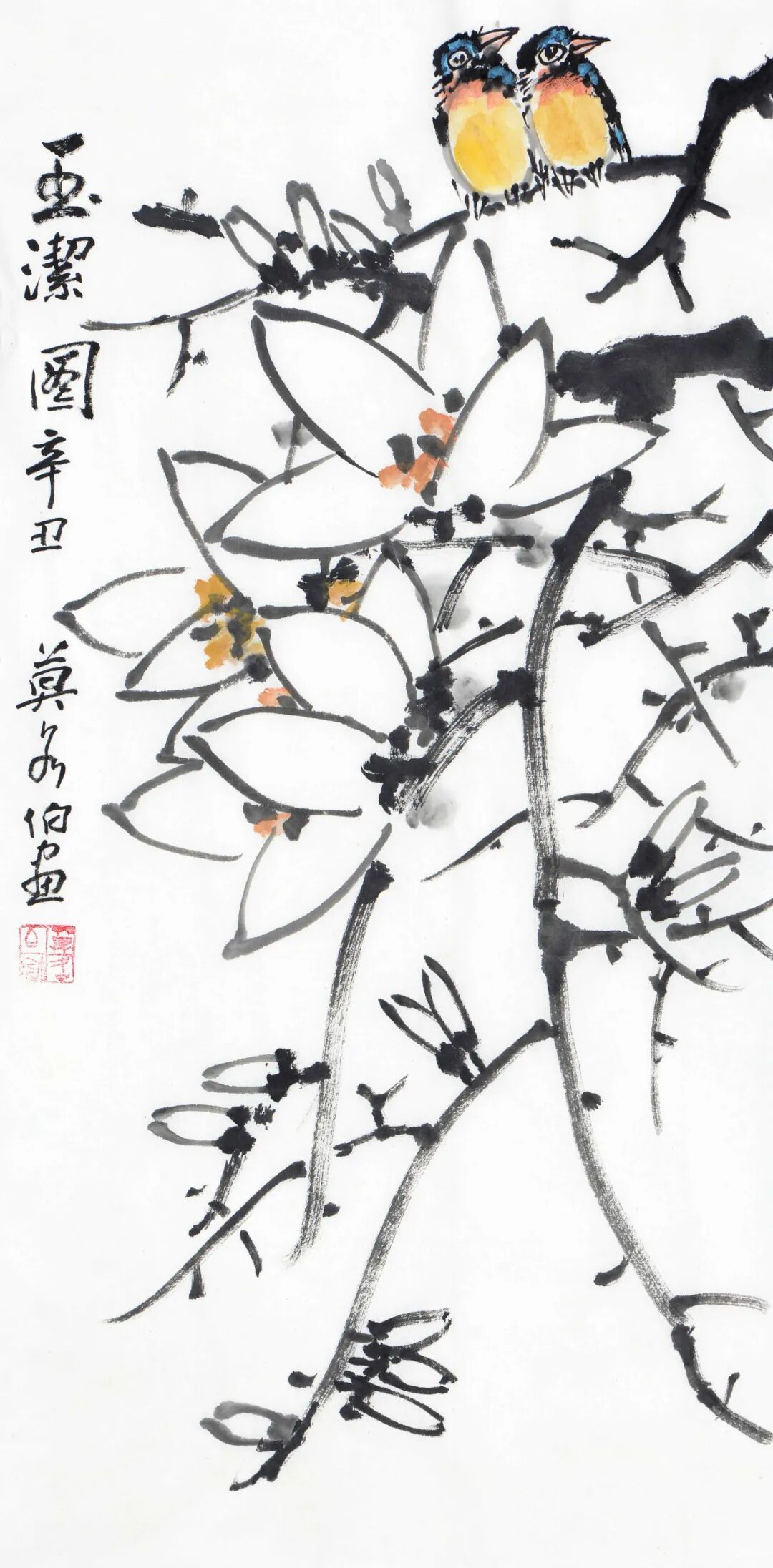 图片