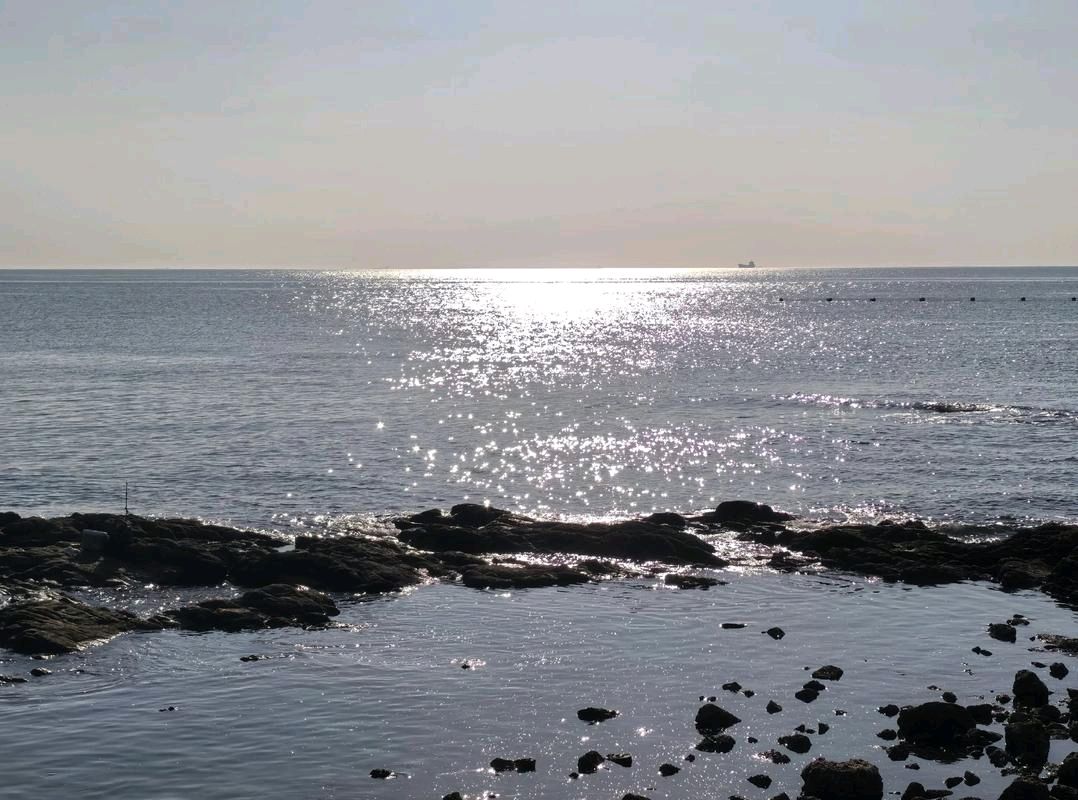 【朱海燕】诗满沧海（组诗）