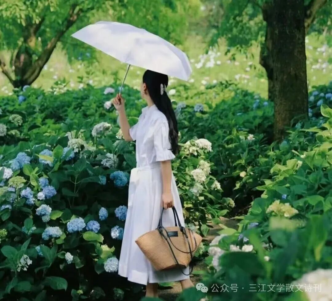 人生是一次次逃离（诗歌对唱）作者//玉树临风/林杨（黑龙江）6534