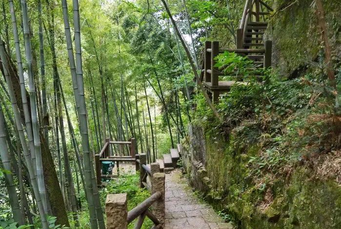 《下山也是一路风景》作者：心海同舟＆诵读：开耳