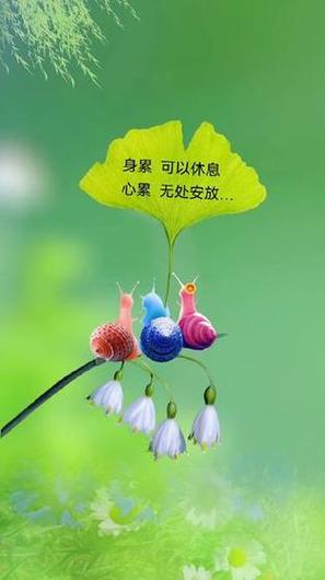 请欣赏《安放》作者/周小军         主播·编辑/一个人【中国长江文学社】有声文学平台【第19318期】