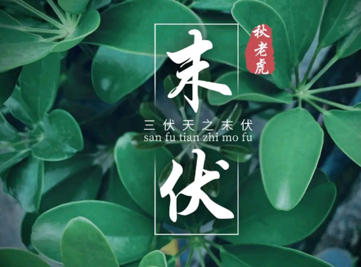 末伏新凉诗词五首‖文/杨修志‖七律·末伏新凉