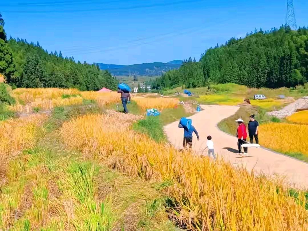 【笑声笑语】散文：美醉了诗人的秋（笑青/河北）