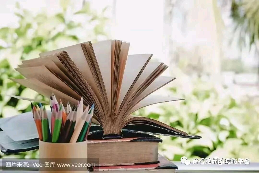 七月荷色（外一首）    作者:田兴才