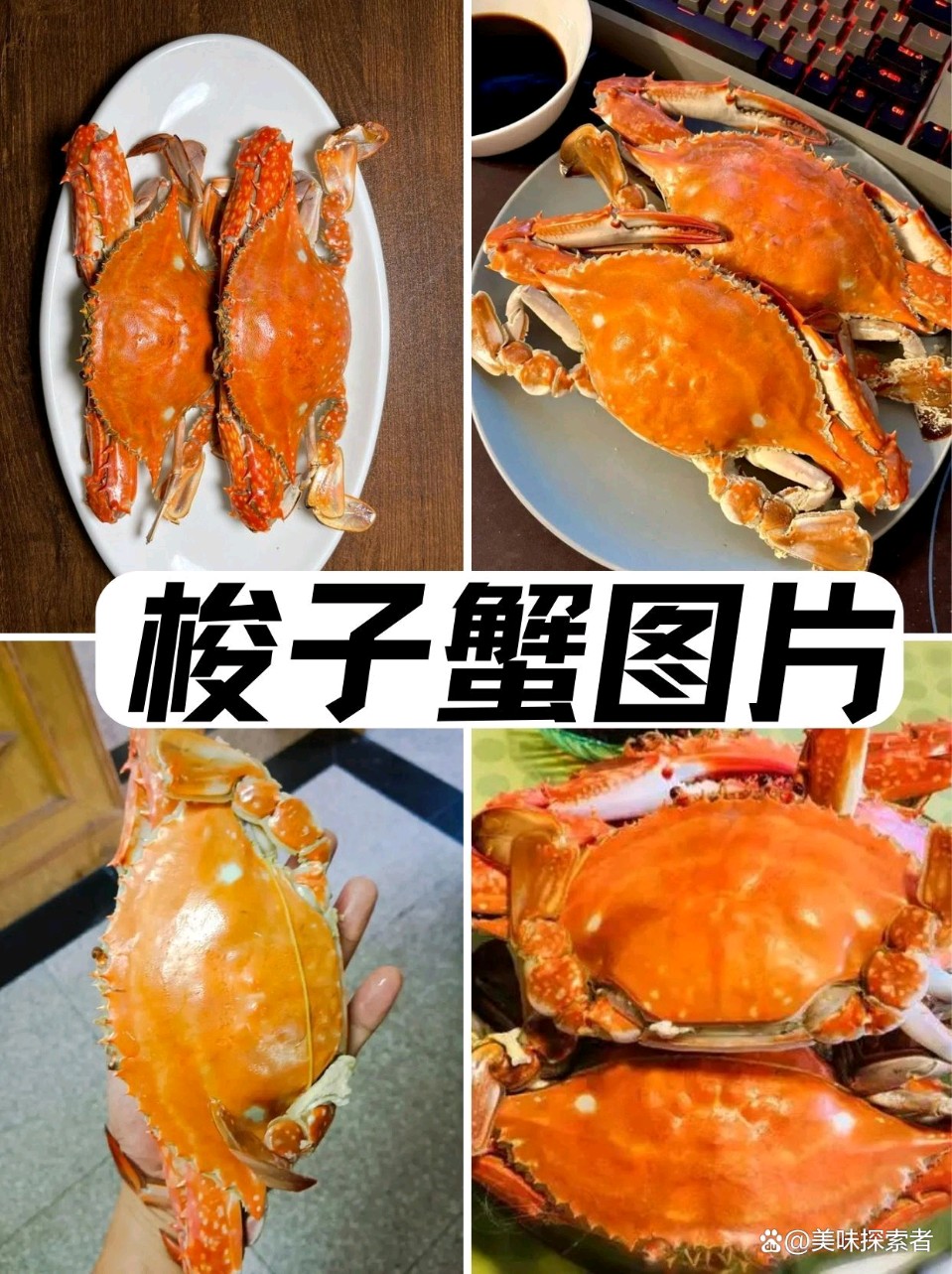 请欣赏《七律  七月初一》作者/朱守平           主播·编辑/一个人【中国长江文学社】有声文学平台【第19354期】