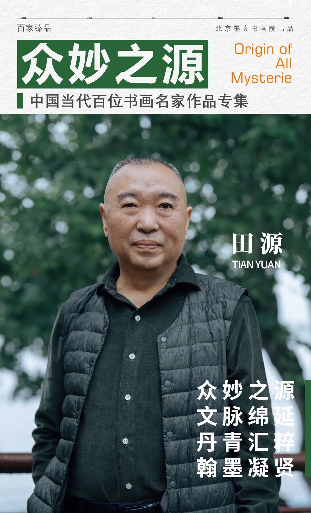 田源《众妙之源》中国当代百位书画名家作品专集