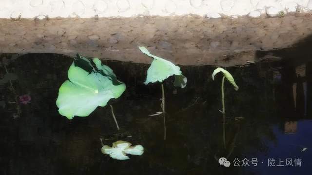 人间四札（萧毅）