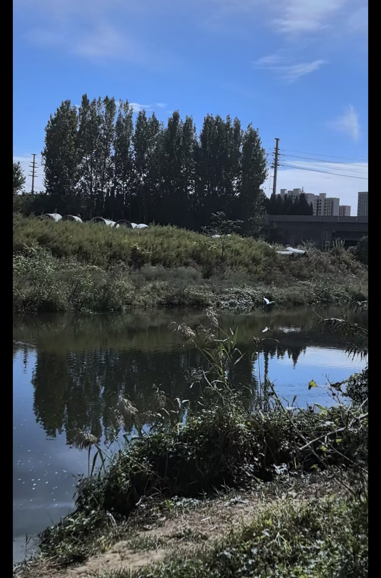 一湖清秋水无恙，半生烟火是寻常——再读张相湖秋景 // 郑伟