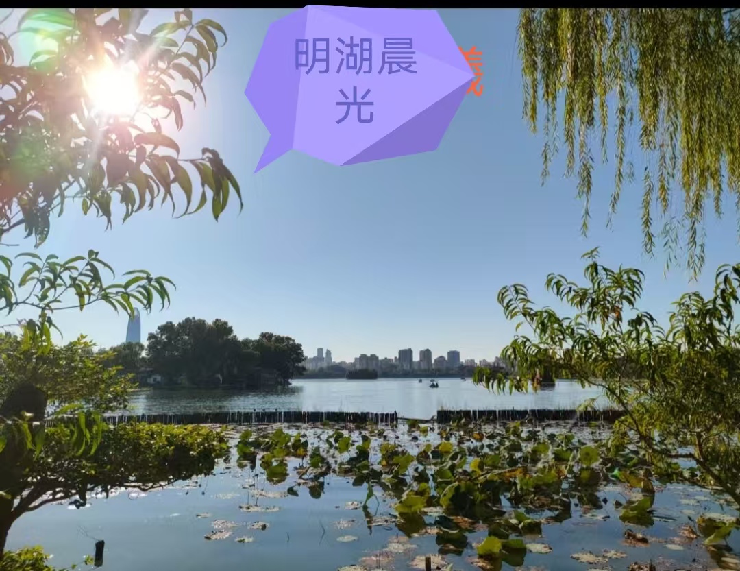 明湖晨光  //  初学菊 摄影  李广聚 配诗