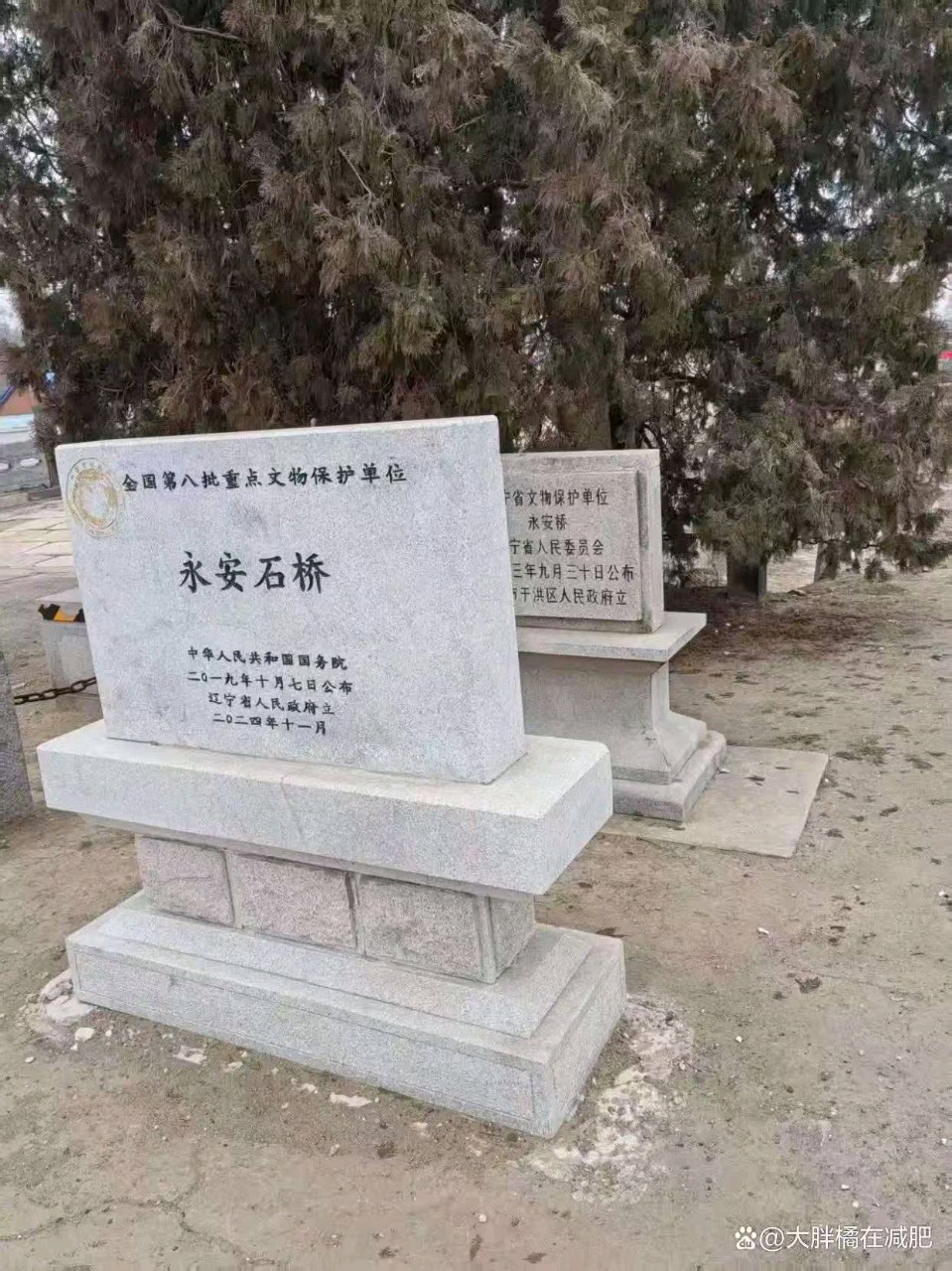 ​*沈阳永安桥*高岩（辽宁）【冰心文化传媒】