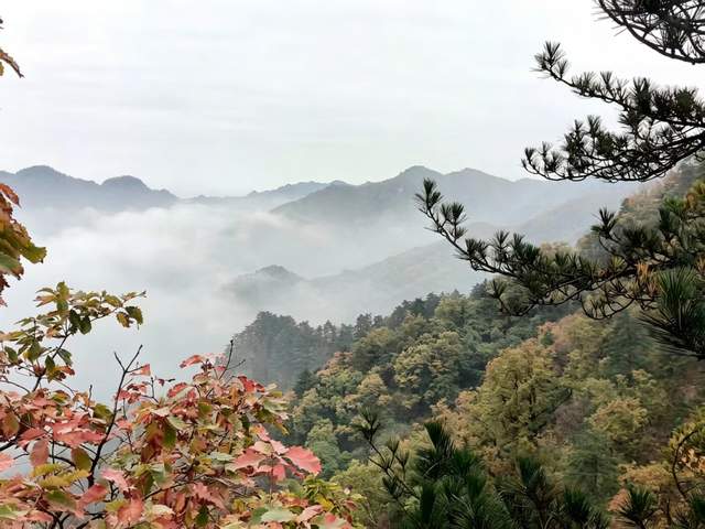 南阳市内乡：名家走进宝天曼 笔墨礼赞生态美