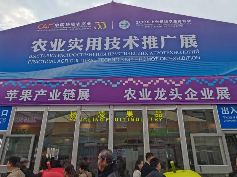金秋杨凌人潮涌