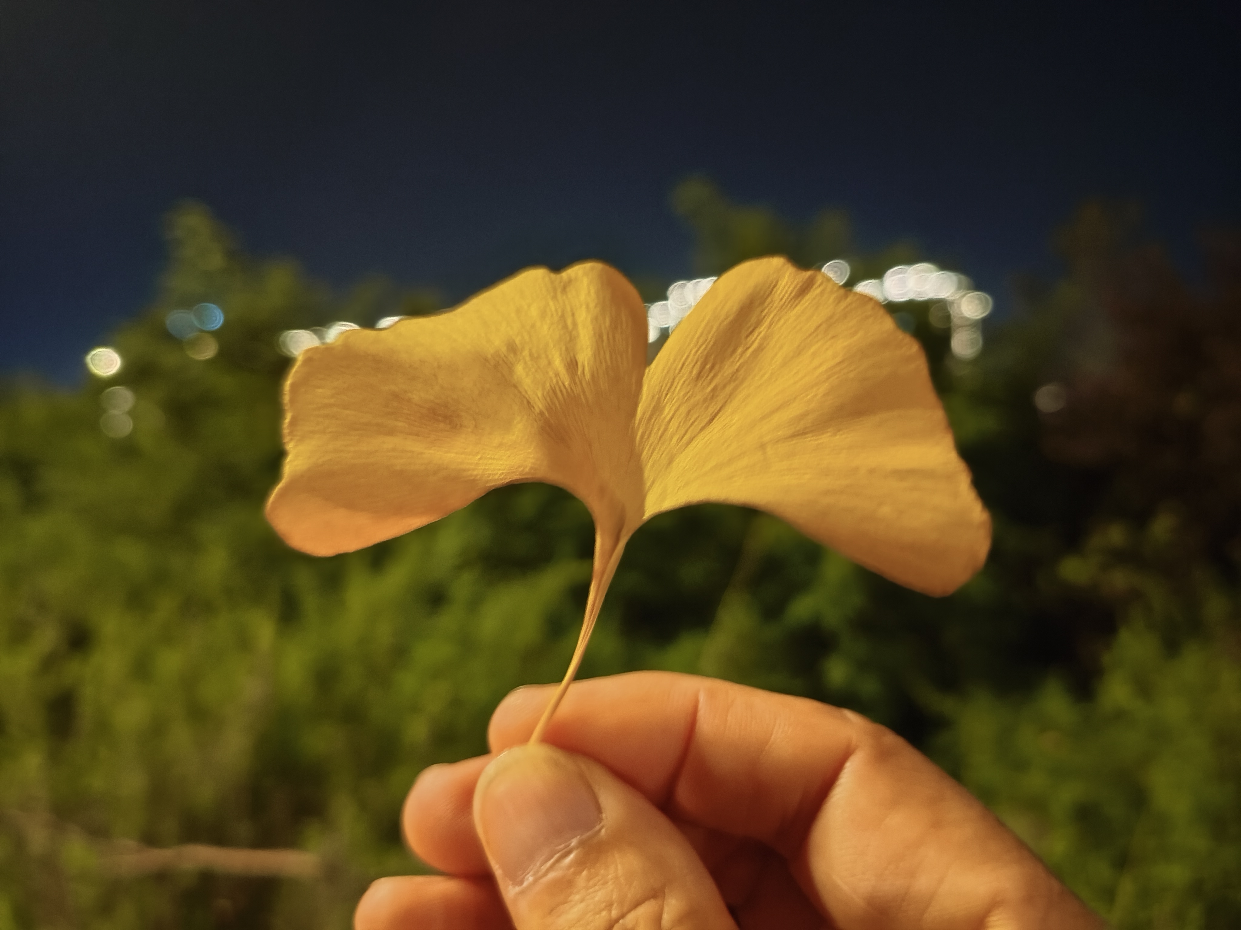 洛宁深秋的冷风川流不息