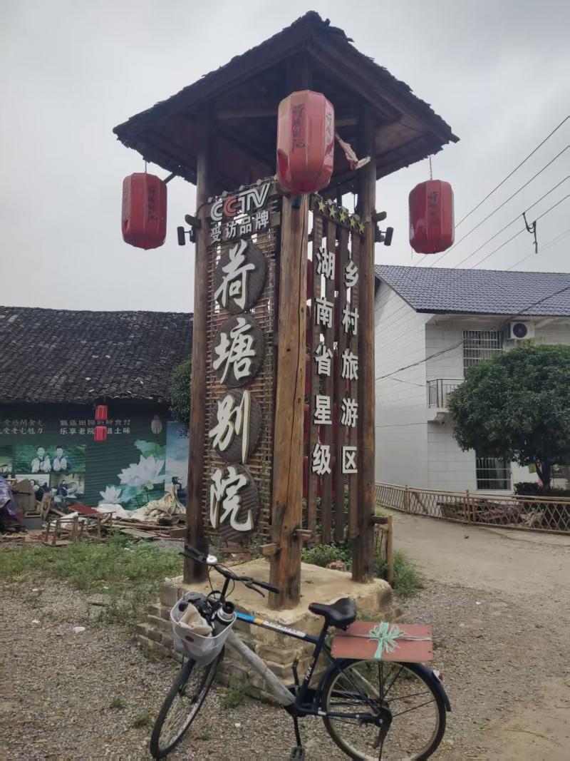 五绝《老人午睡难》外七律二首｜文：罗爱元～嫩仁