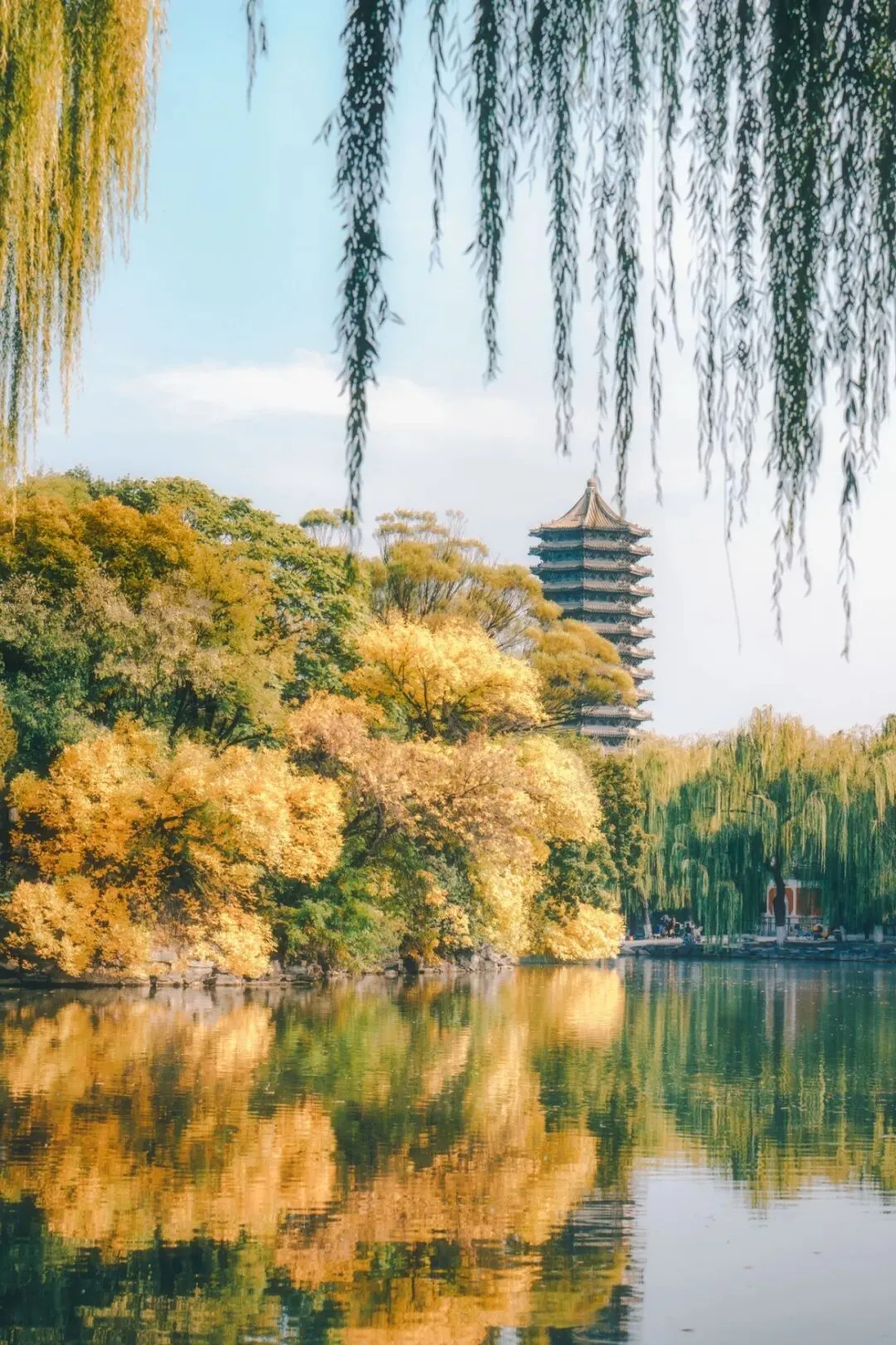 世界文学联盟//  ​马勇为什么被称为诗坛“黑马”？
